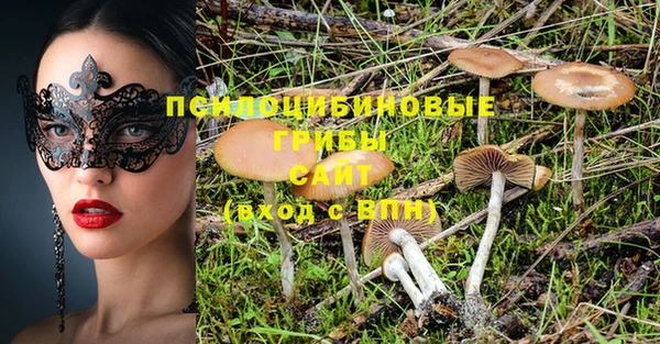 молекула духа Горняк