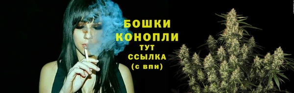 молекула духа Горняк