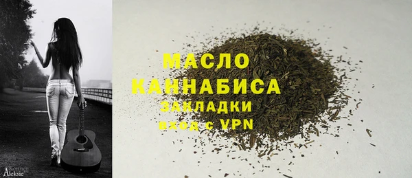 молекула духа Горняк