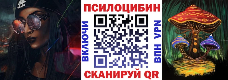 купить наркотик  Ачинск  OMG как войти  Псилоцибиновые грибы Magic Shrooms 